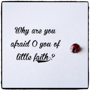 glen-carrie-2092_Fotor