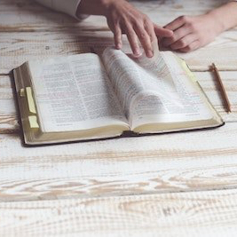 kiwihug-284614-unsplash